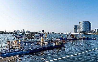 剑桥词典公布新增游戏词汇 但似乎不是那么准确