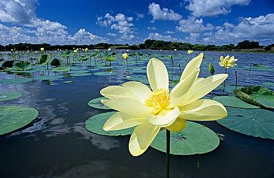 《合金装备Δ：食蛇者》菜单界面曝光 虚幻5焕然一新